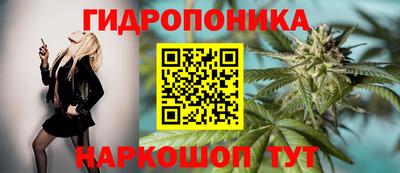 прущие крисы Комсомольск-на-Амуре