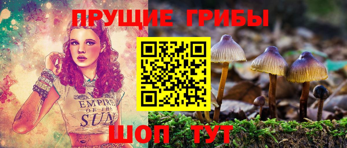 Псилоцибиновые грибы мицелий Кирово-Чепецк