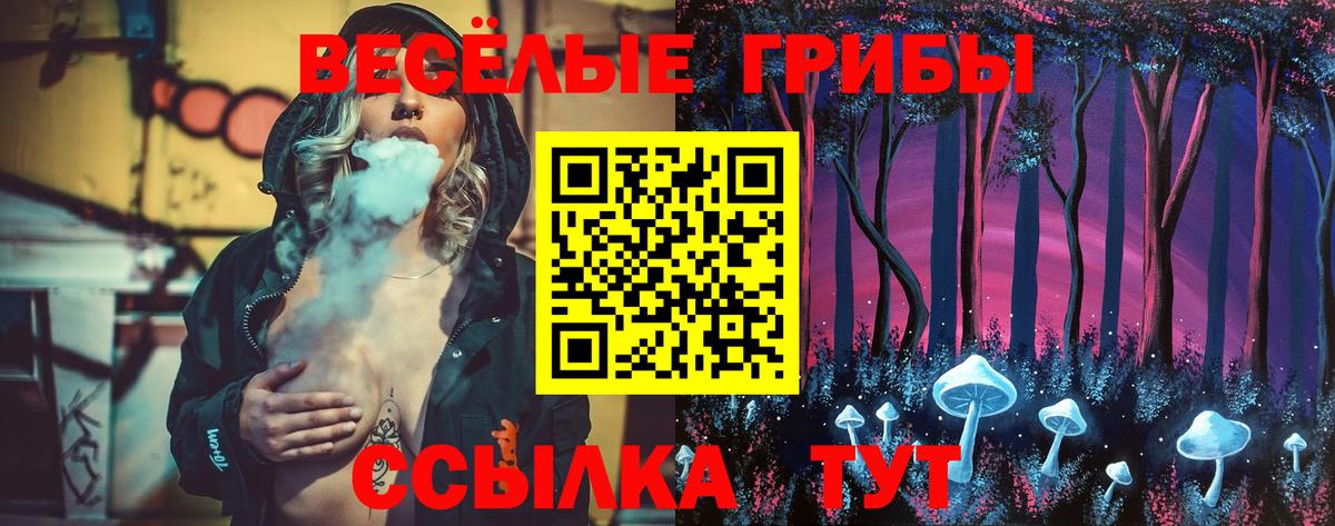 Галлюциногенные грибы ЛСД  Вход с VPN  цена   Кирово-Чепецк  Галлюциногенные грибы Cubensis 