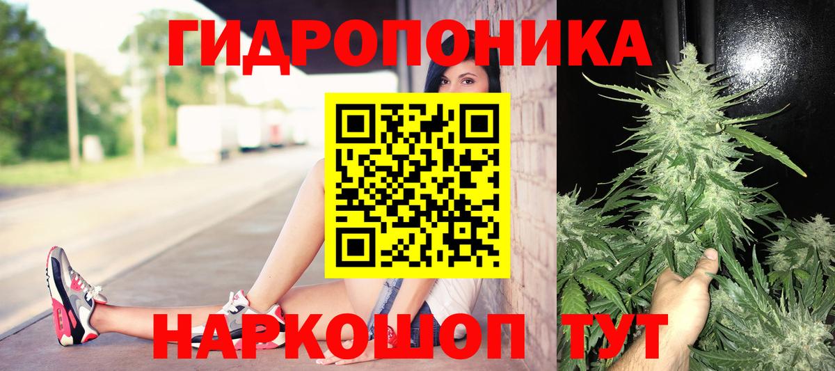 Кирово-Чепецк  ГАШ  Марихуана  Вход с VPN  Меф МЯУ МЯУ  